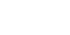 Brics Group