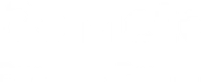 Meta Business Partner